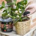 Carbon Gold Biochar Houseplant Booster