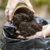 Carbon Gold Biochar Seed Compost 10L