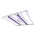 Lumatek 50W Far-Red LED Bar - PRE-ORDER