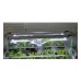 Vitopod Heated Propagators with LED Lights