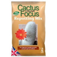 Cactus Focus Repotting Mix