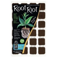 Root Riot - Tray of 24