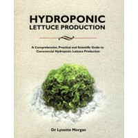 Hydroponics Lettuce Production