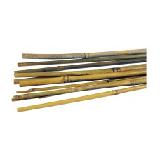 Bamboo Canes 1.8m Pack of 25