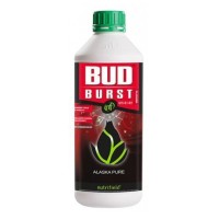 Bud Burst