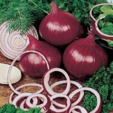 Onion 1 packet (840 seeds)